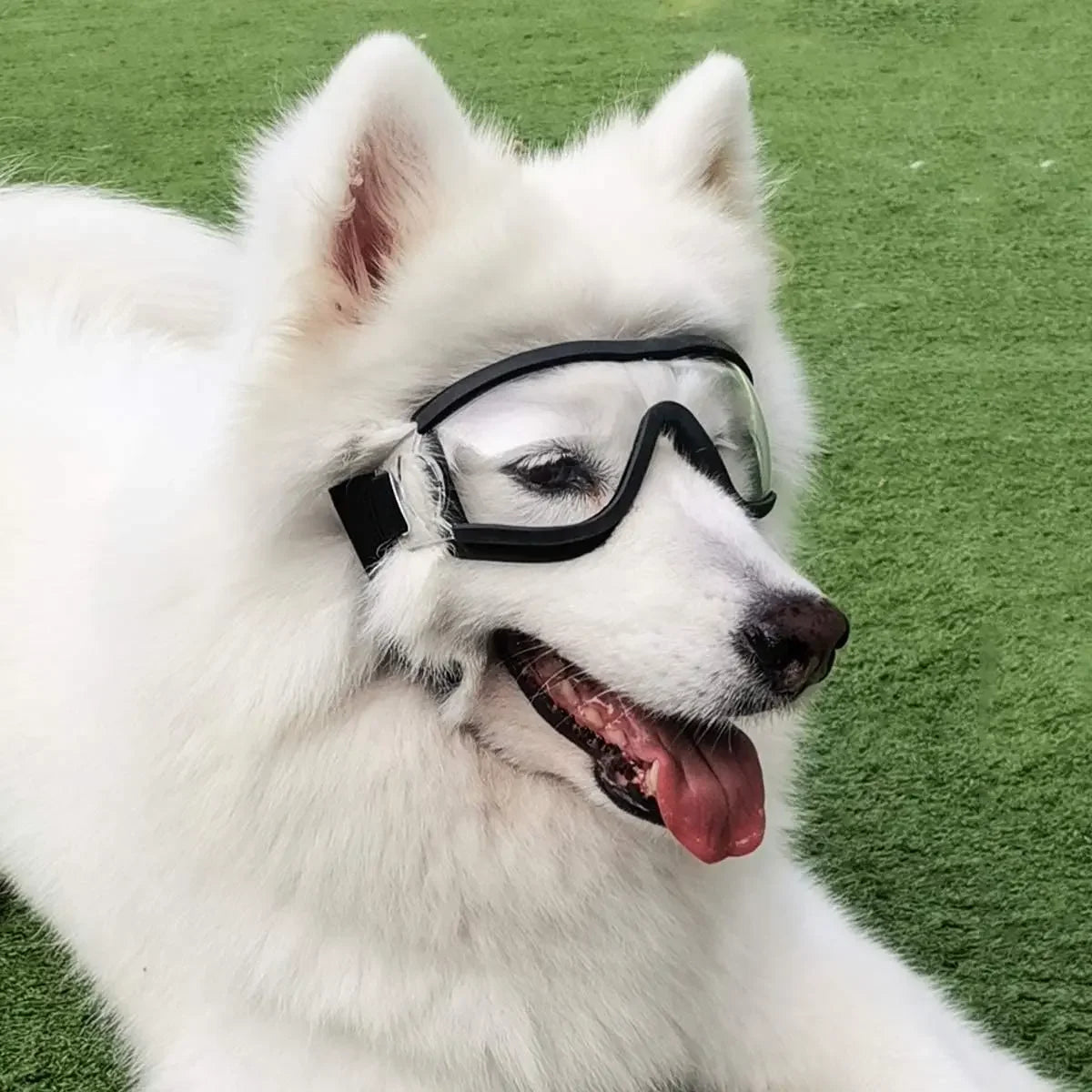 Dog Sunglasses Dog Goggles Adjustable Strap for Travel Skiing and Anti-Fog Snow Goggles Pet Goggles for Medium and Large Dogs