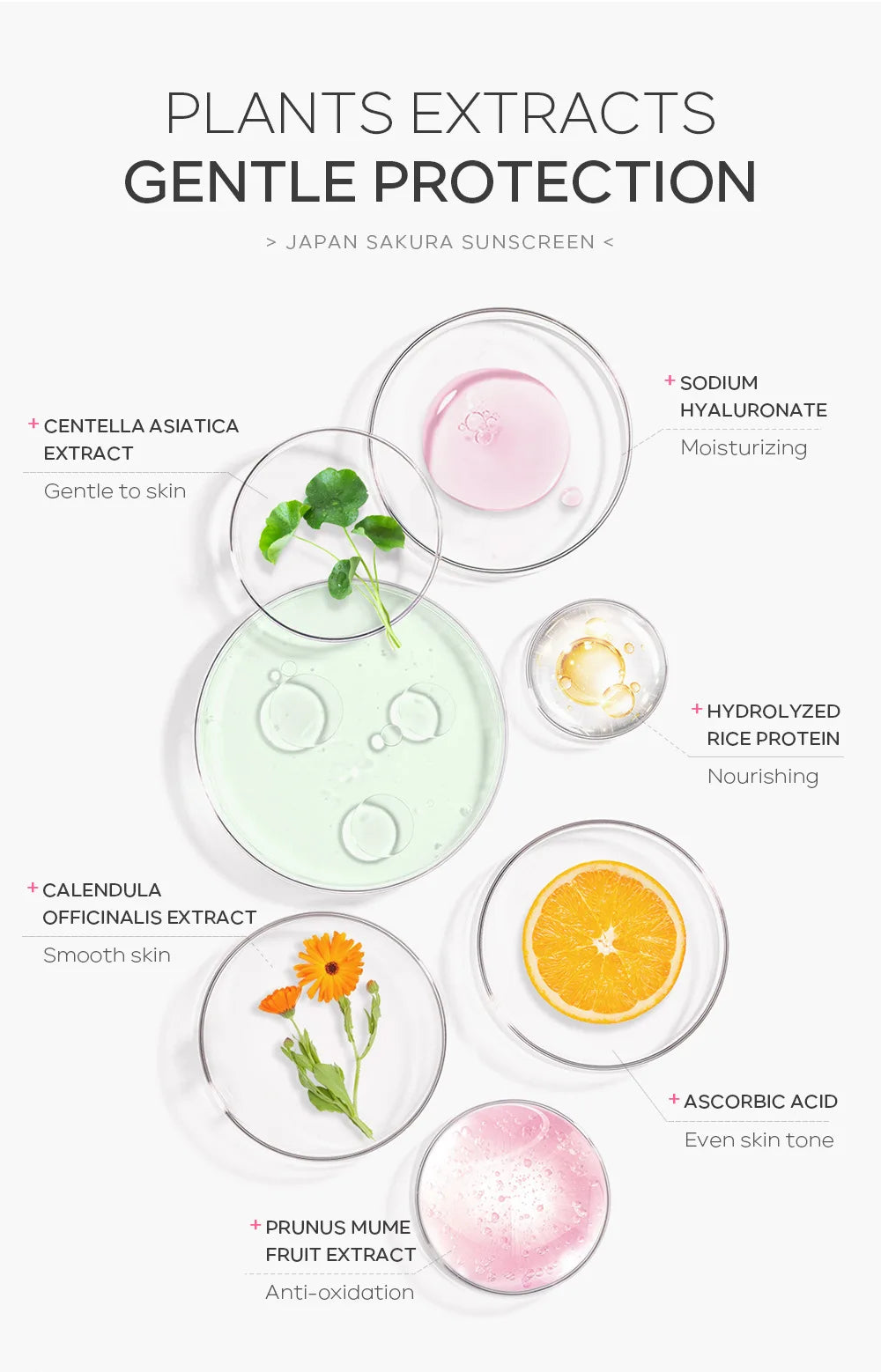 LAIKOU Sakura Sunscreen Cream SPF50+ UV Protection Face Body Refreshing Waterproof Moisturizing Concealer 30g ﻿