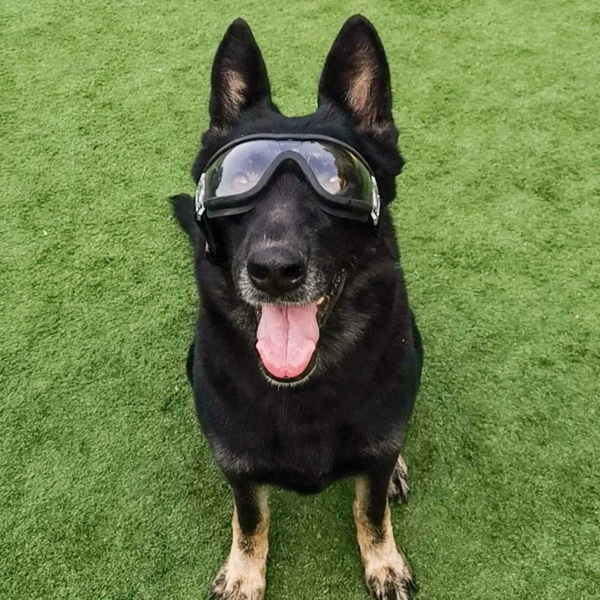 Dog Sunglasses Dog Goggles Adjustable Strap for Travel Skiing and Anti-Fog Snow Goggles Pet Goggles for Medium and Large Dogs